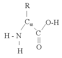 Figure 1: Basic Amino Acid (AA) Structure