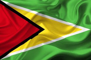 GuyanaFlag